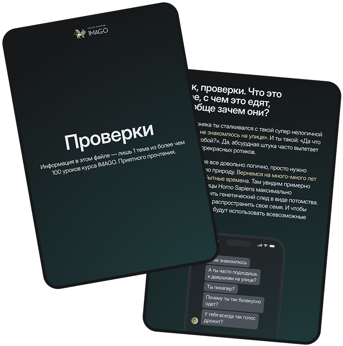 Обложка гайда «Проверки FAQ»